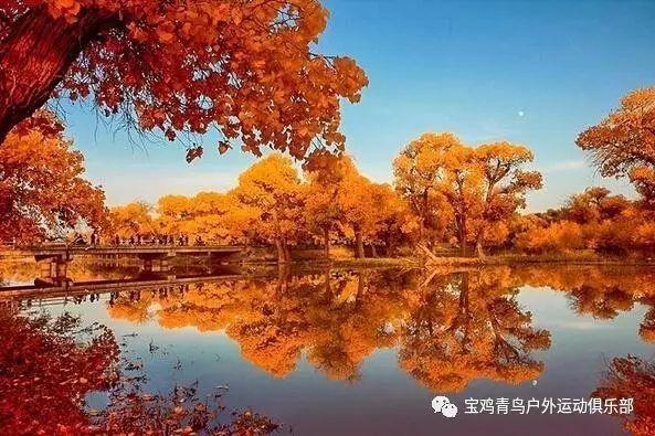 嘉日单词